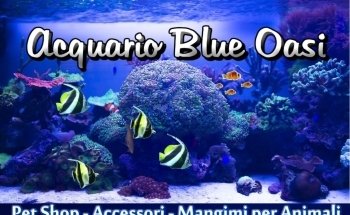 Blue Oasi Pesca