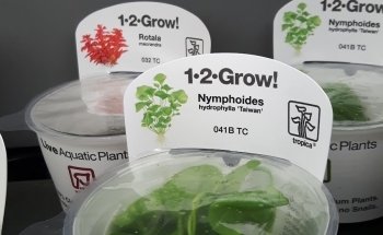 Animal Garden di Bidoggia