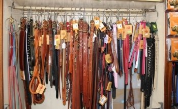 Animal Garden di Bidoggia