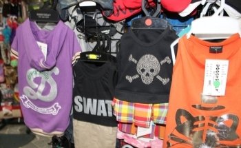 Animal Garden di Bidoggia