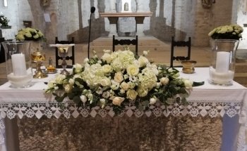 Centro Giardino Girasole Srl