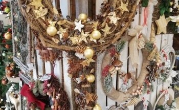 Centro Giardino Girasole Srl