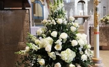 Centro Giardino Girasole Srl