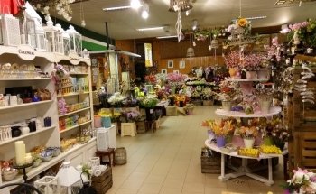 Centro Giardino Girasole Srl