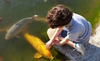 Luca Ceredi Koi Farm
