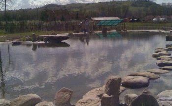 Luca Ceredi Koi Farm