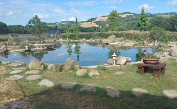 Luca Ceredi Koi Farm