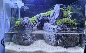 Paisaje natural Acuario