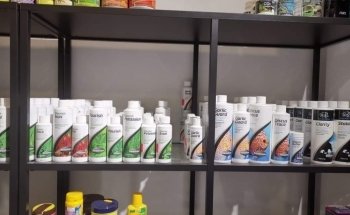 Paisaje Natural Acuario