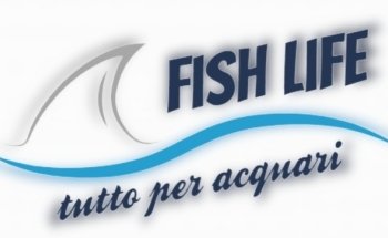 Fish Life Messina - Tutto per acquari