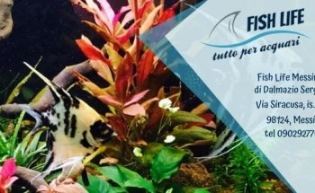 Fish Life Messina - Tutto per acquari