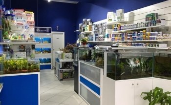 Fish Life Messina - Todo para acuarios