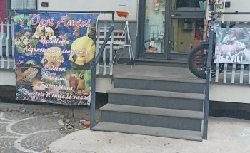 I Veri Amici -Pet shop Toelettatura - Ornitologia