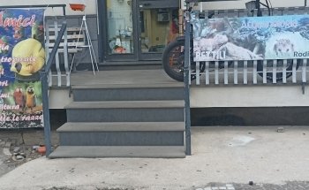 I Veri Amici -Pet shop Toelettatura - Ornitologia