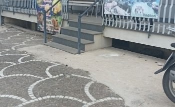 I Veri Amici -Pet shop Toelettatura - Ornitologia