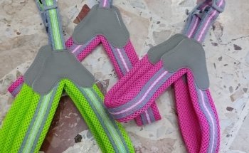 I Veri Amici -Pet shop Toelettatura - Ornitologia