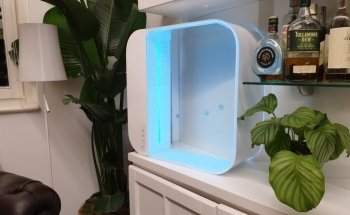 EticoReptiles - Negozio per tartarughe e testuggini