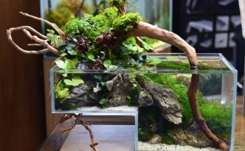 Crystal Reef - acquari su misura