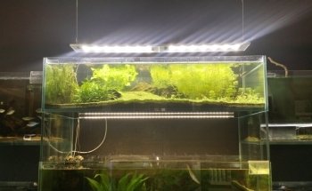 Crystal Reef - acquari su misura