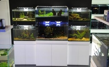 Crystal Reef - acquari su misura