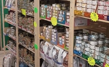 L'isola degli animali