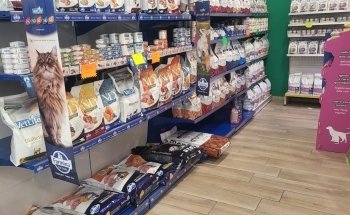 L'isola degli animali