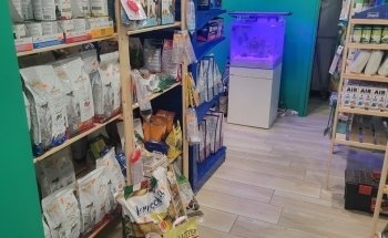 L'isola degli animali