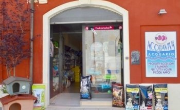 ACQUAVIVA AQUARIUM pet store