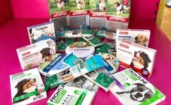 ACQUAVIVA ACQUARIO negozio per animali