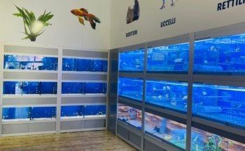 Tom & Jerry Pet Shop e articoli per la pesca