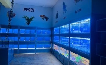 Tom & Jerry Pet Shop and Fishing Articles