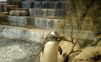 SEA LIFE Sydney Aquarium