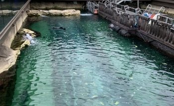SEA LIFE Sydney Aquarium