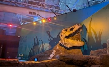 SEA LIFE Sydney Aquarium