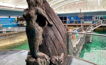SEA LIFE Sydney Aquarium
