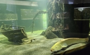 Acquario Biosfera di Parma