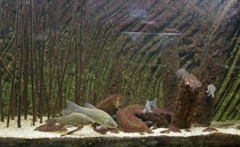 Acquario Biosfera di Parma