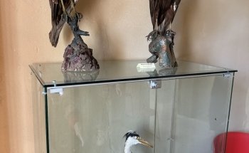 Acquario Biosfera di Parma