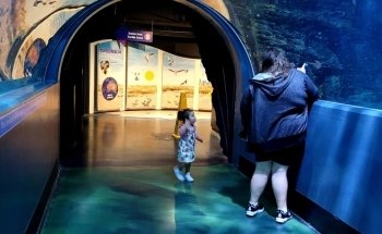 SEA LIFE Melbourne Aquarium