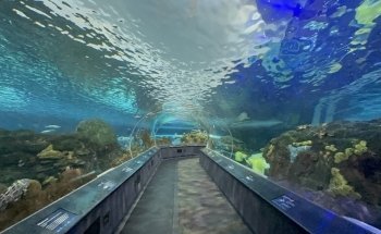 Acuario de Ripley en Canadá