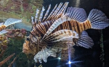 Aquarium of Quebec