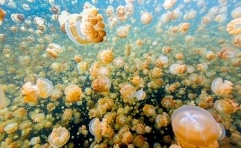 Vancouver Aquarium