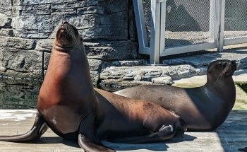 Vancouver Aquarium