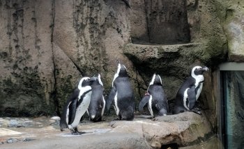 Vancouver Aquarium
