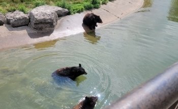 Marineland Canada