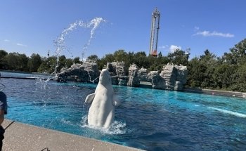 Marineland Canada