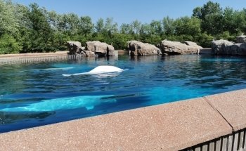 Marineland Canada