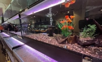 Aquarius Tropical Fish