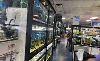 Finatics Aquarium