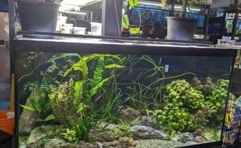 Finatics Aquarium